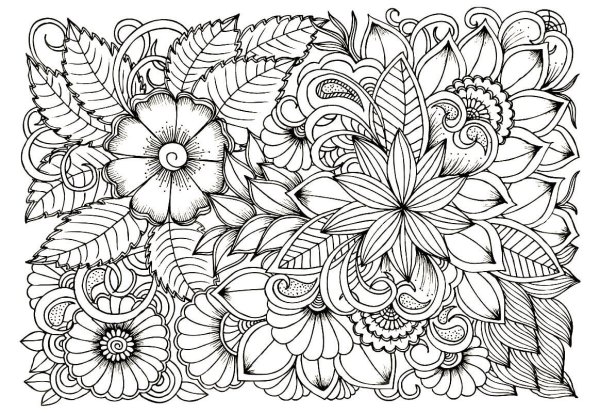 Раскраска антистресс "цветы"