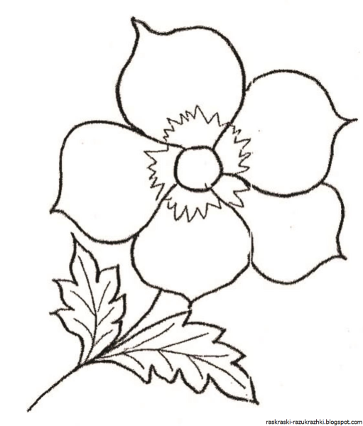 Цветы раскраска для детей