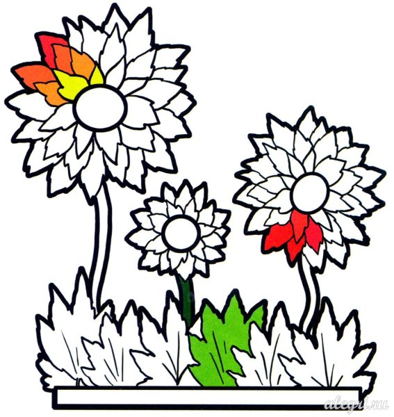 Осенние цветы раскраска