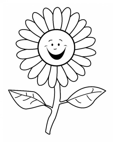 Ромашка раскраска
