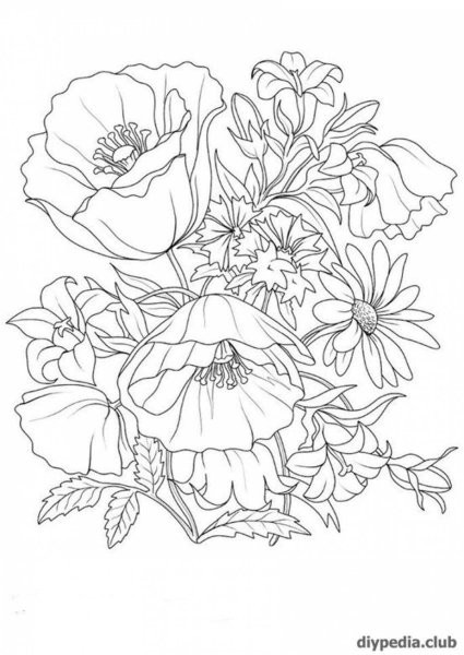 Раскраски цветы красивые