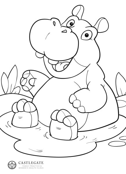 Бегемот раскраска для детей цветные