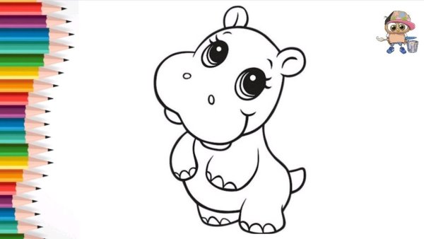 Раскраски звери красивые