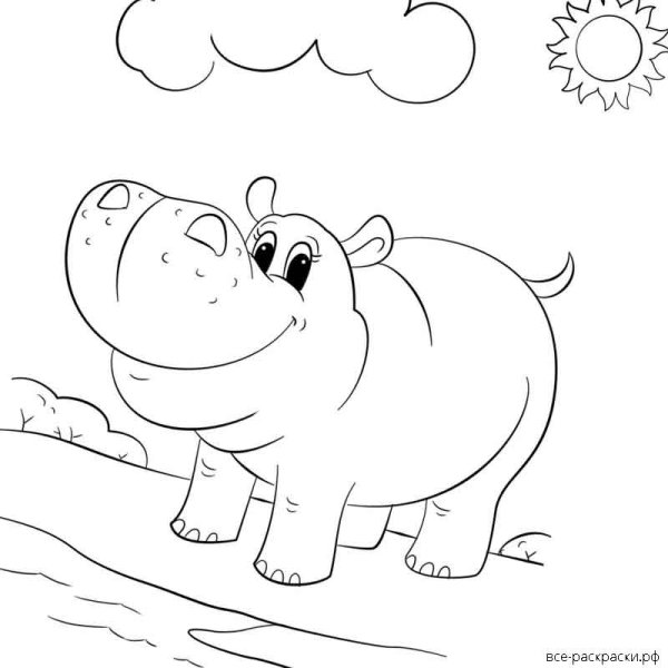 Бегемот раскраска