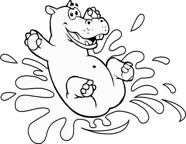 Бегемот раскраска