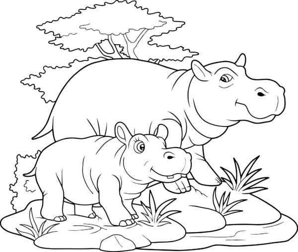 Бегемот раскраска