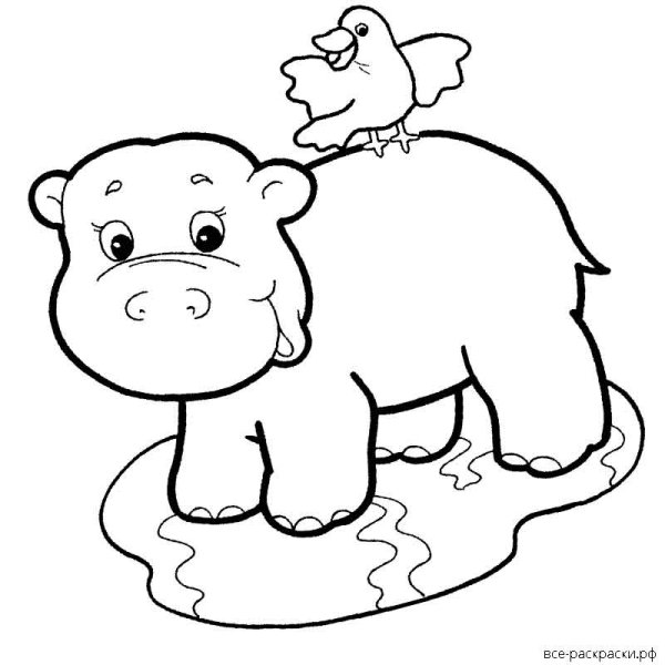 Раскраска слон и Бегемотик
