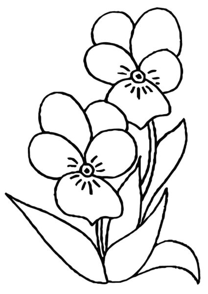 Анютины глазки раскраска