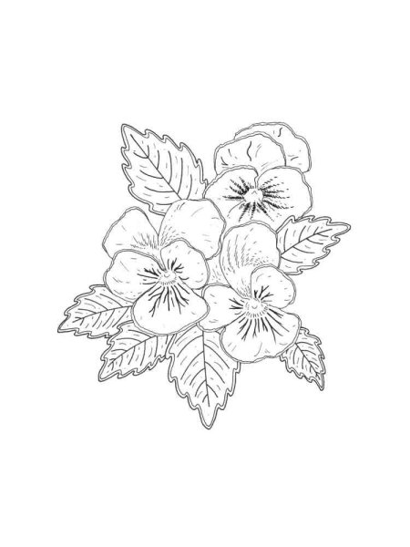 Контур для вышивки гладью букет