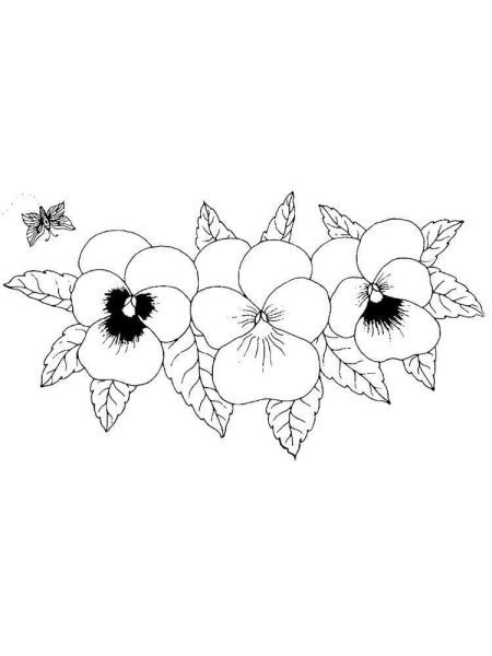 Анютины глазки трафарет