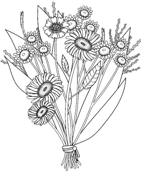Полевые цветы раскраска