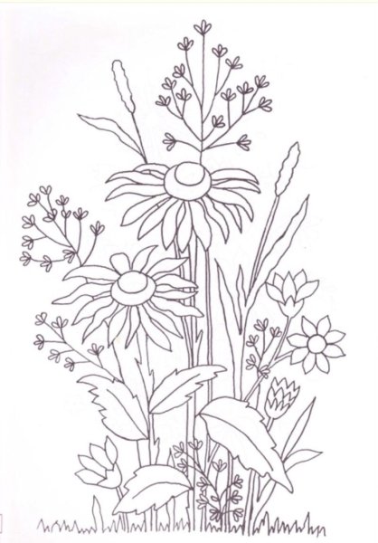 Трафарет для вышивки гладью полевые цветы