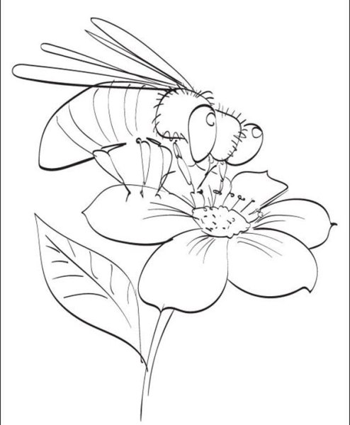 Раскраска Пчелка на цветке
