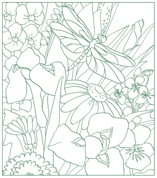 Раскраска цветочный магазин