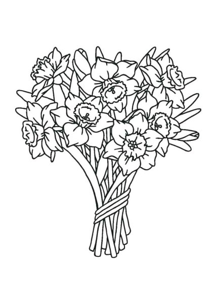 Раскраска Бекета цветов