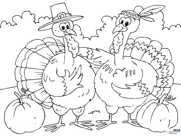 Раскраски индейки ко Дню Благодарения