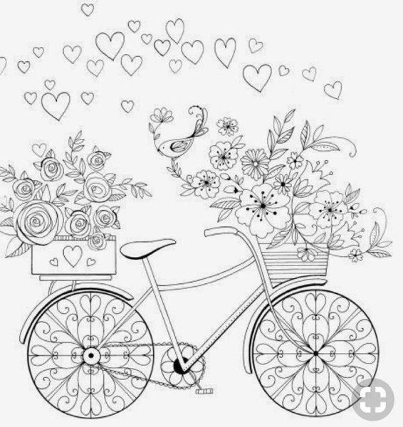 Велосипед с цветами раскраска