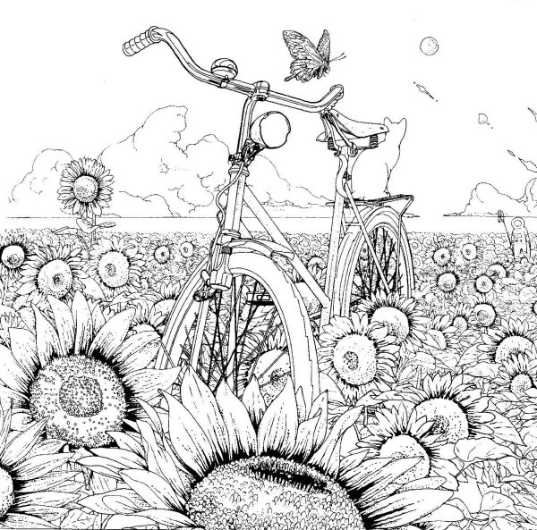 Поле подсолнухов раскраска