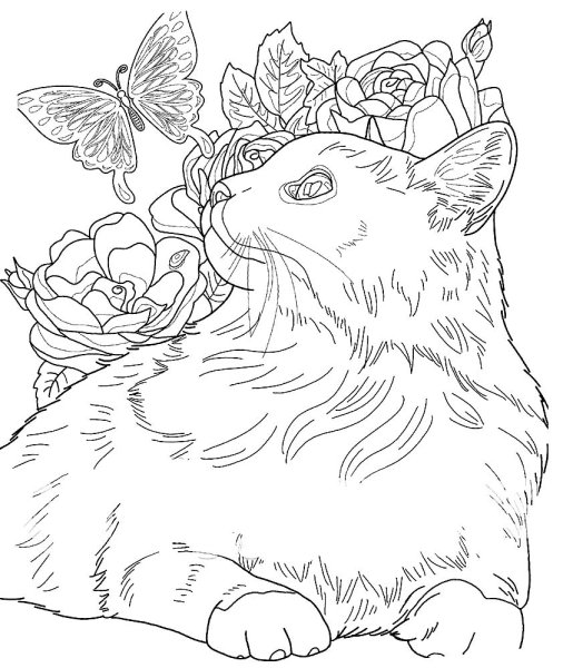 Раскраска котик с цветами
