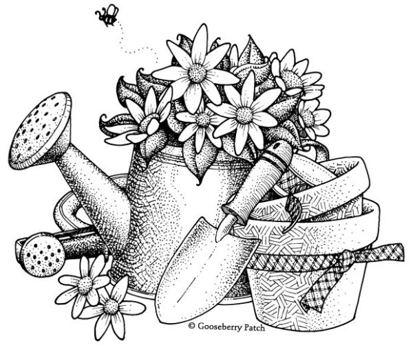 Раскраска лейка с цветами