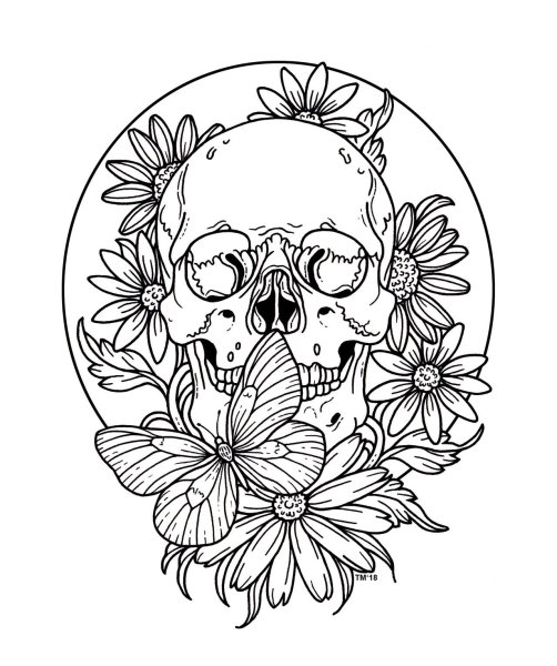Раскраска череп с розой
