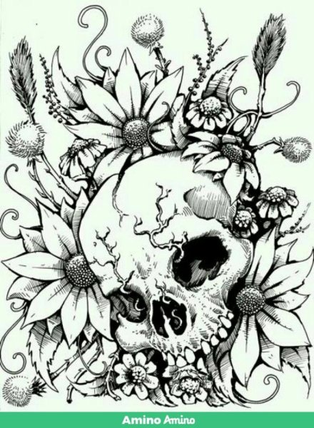Череп с цветами раскраска