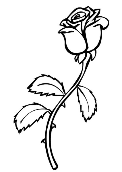 Роза раскраска