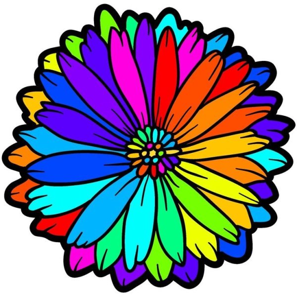 Цветы раскраска цветная