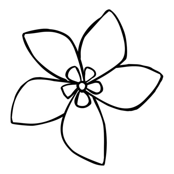 Рисунки для раскрашивания цветы