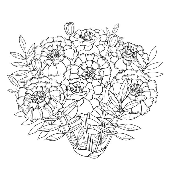 Раскраска Цветочная клумба бархатцы