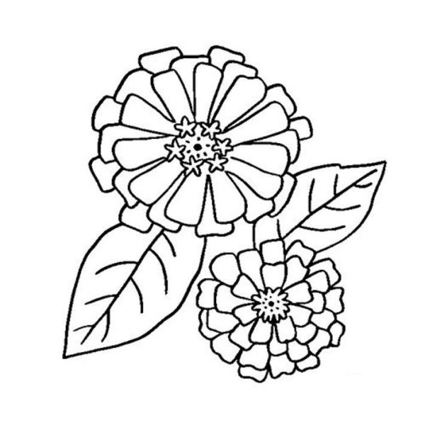 Трафареты осенних цветов