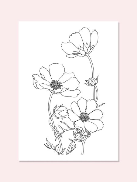 Космея цветок раскраска для детей