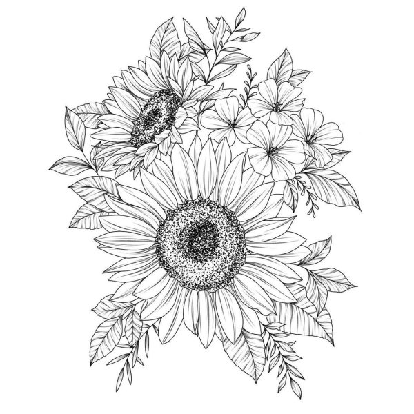 Подсолнух карандашом