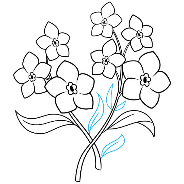 Незабудка цветок рисунок карандашом