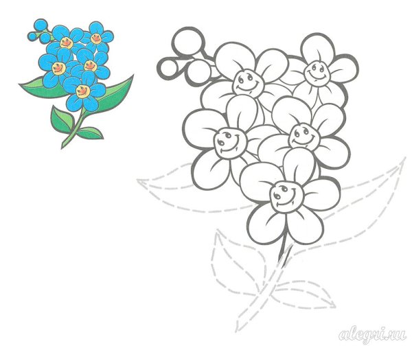 Незабудки картинки для детей раскраски