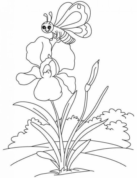 Для детей раскраски цветов Ирис