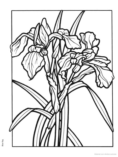 Ирис витраж трафарет