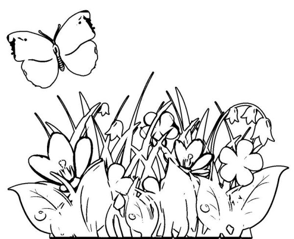 Раскраски трава и цветы