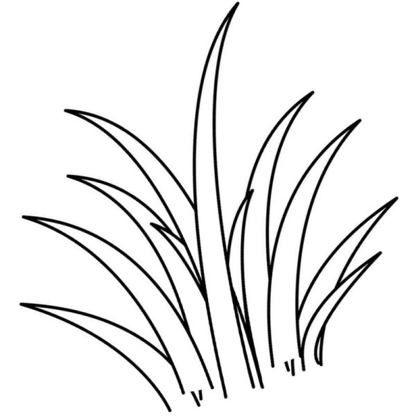 Пучок травы раскраска