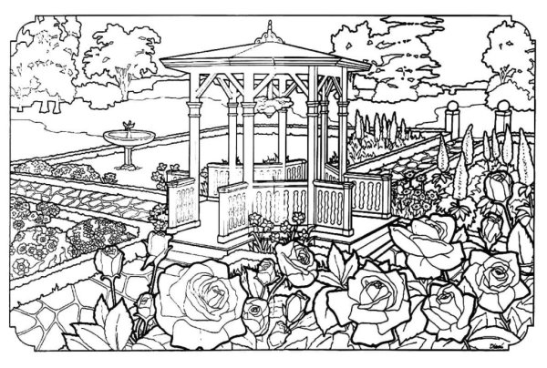 Сады. Раскраска