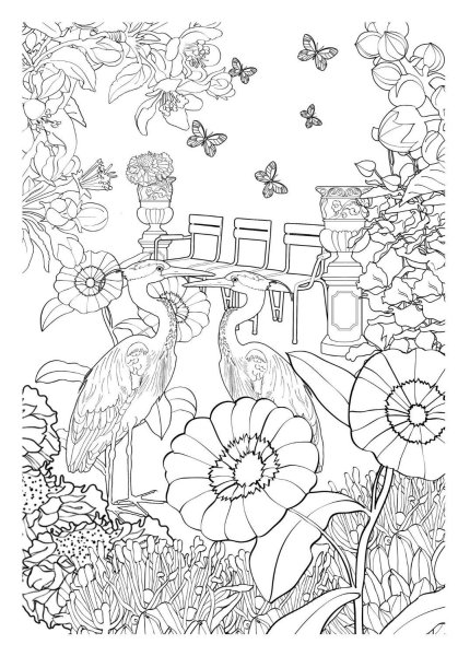 Сады. Раскраска