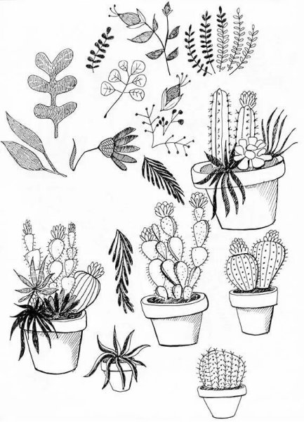 Рисунки для срисовки растения