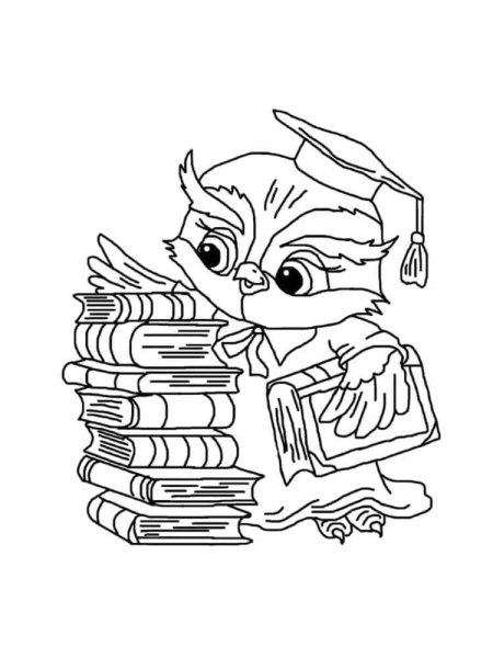 Раскраска мудрая Сова с книгой