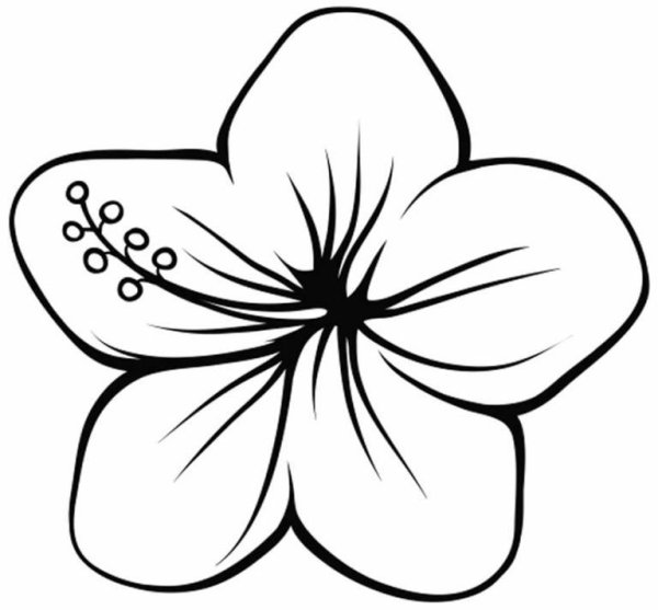 Цветок шаблон