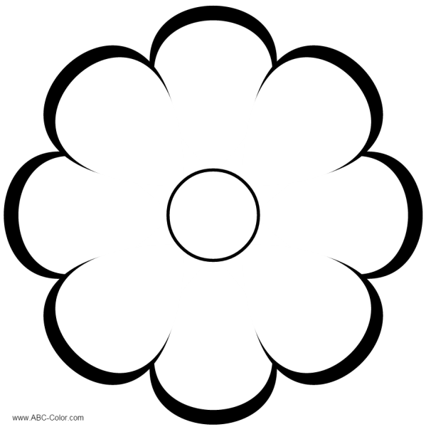 Цветы контур