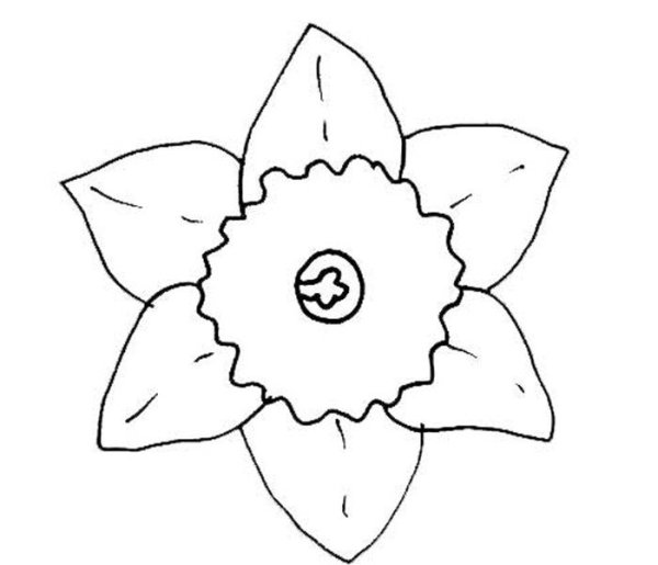 Нарцисс трафарет для вырезания