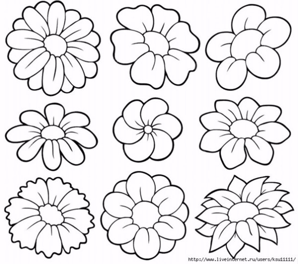 Раскраска маленькие цветочки много