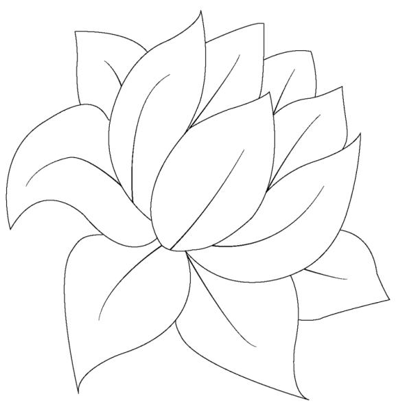 Раскраска цветок без стебля
