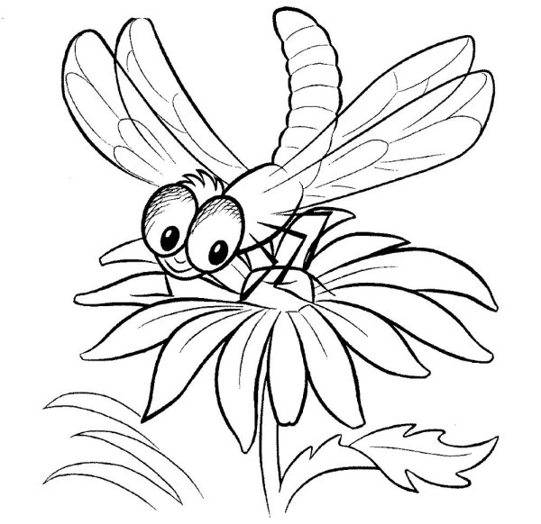 Стрекоза раскраска