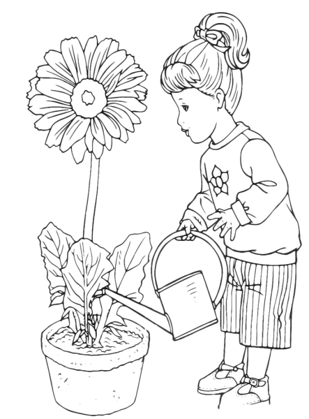 Раскраски на тему комнатные растения